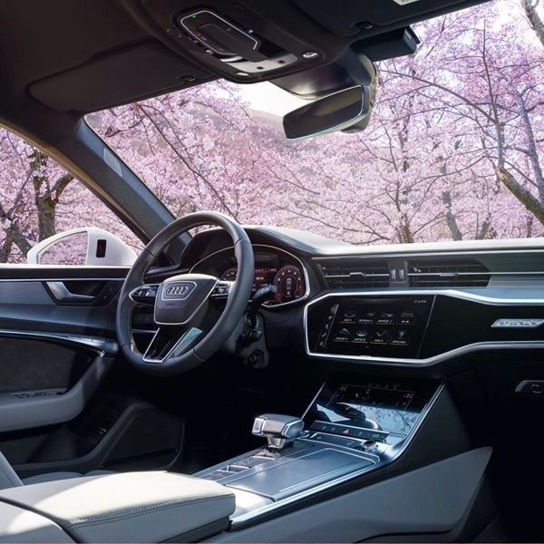 汽车美图赏析：Audi A6 Avant，樱花树下