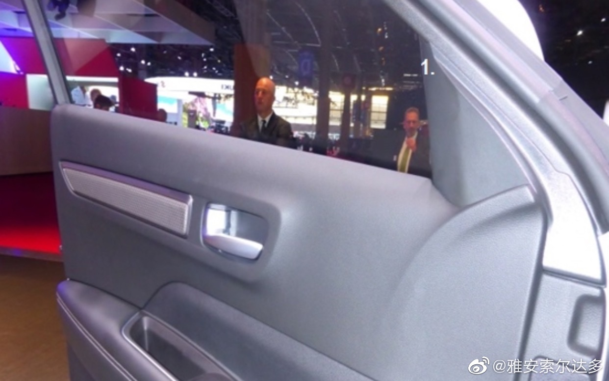 汽车美图：2016产雷诺科雷傲门板