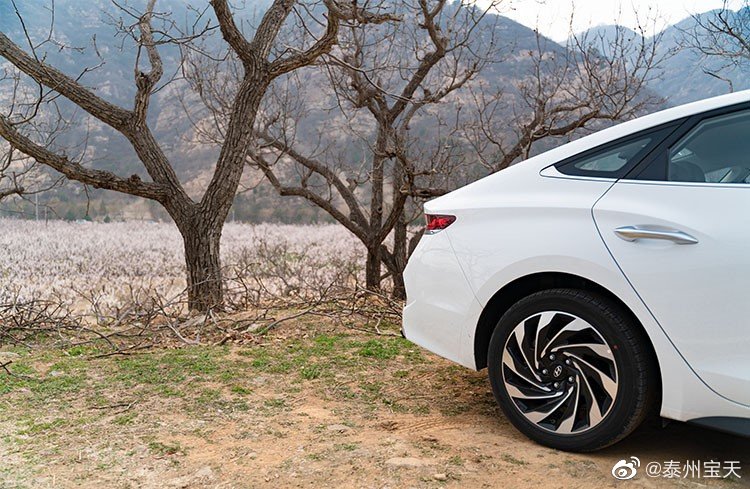 一个汉堡跑一百公里 买个菲斯塔纯电动不香吗？