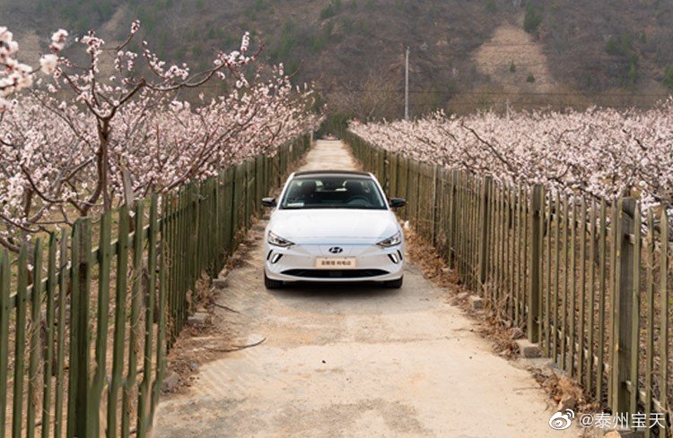 一个汉堡跑一百公里 买个菲斯塔纯电动不香吗？