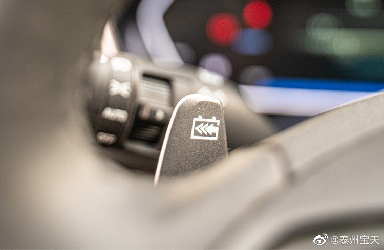 一个汉堡跑一百公里 买个菲斯塔纯电动不香吗？