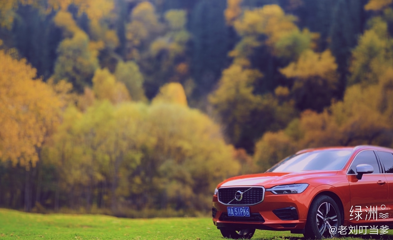 新疆行-那拉提草原 沃尔沃XC60