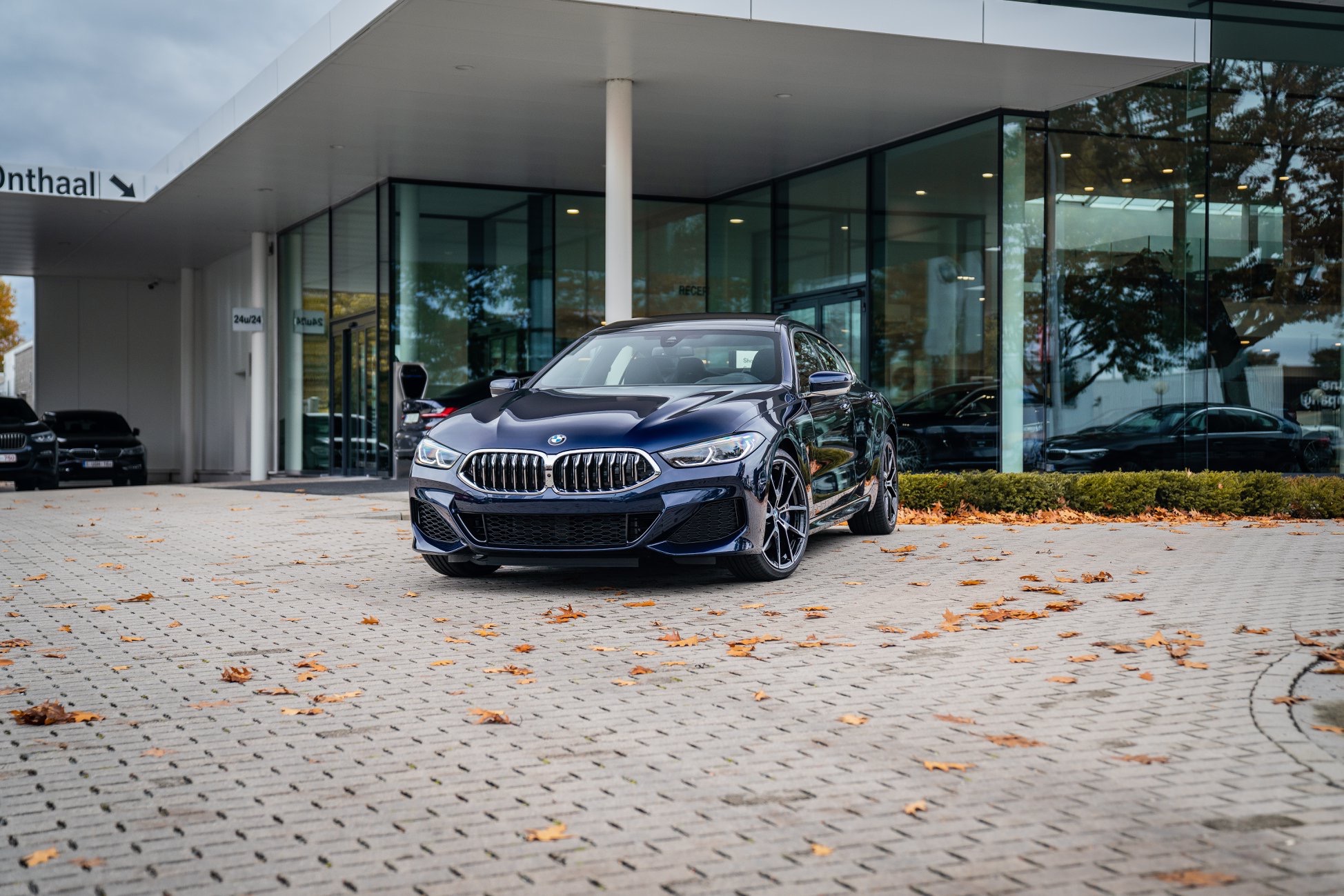 汽车美图抢先看：这个颜色的宝马 8 系不错