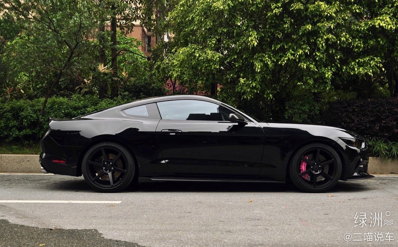 请等等我我还在努力福特mustang