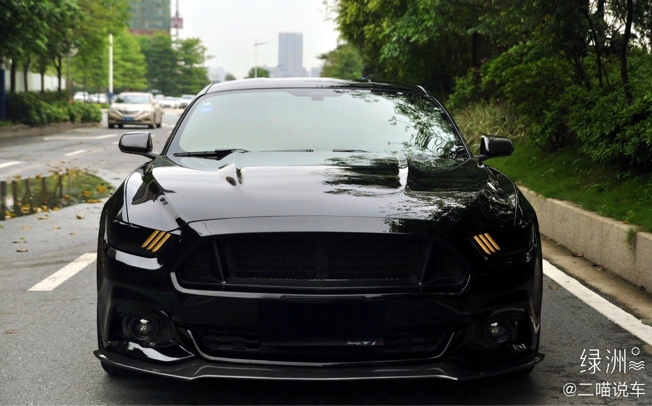 请等等我，我还在努力！ 福特 Mustang