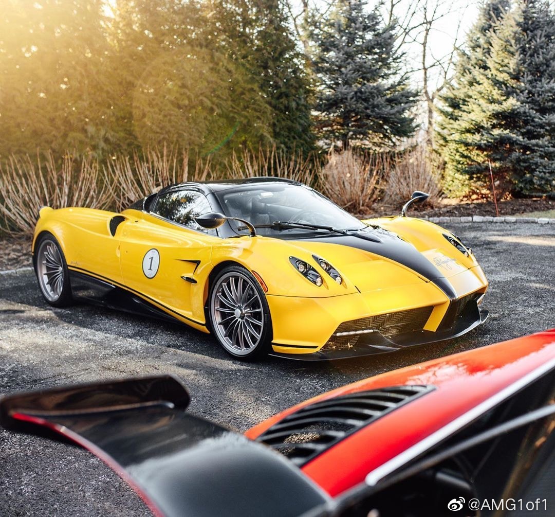 帕加尼Huayra Roadster “Big Bird”