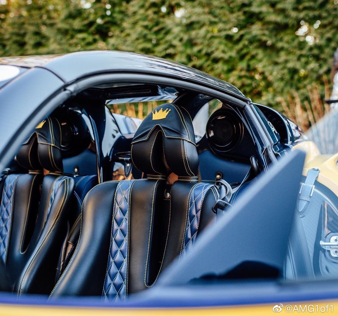 帕加尼Huayra Roadster “Big Bird”