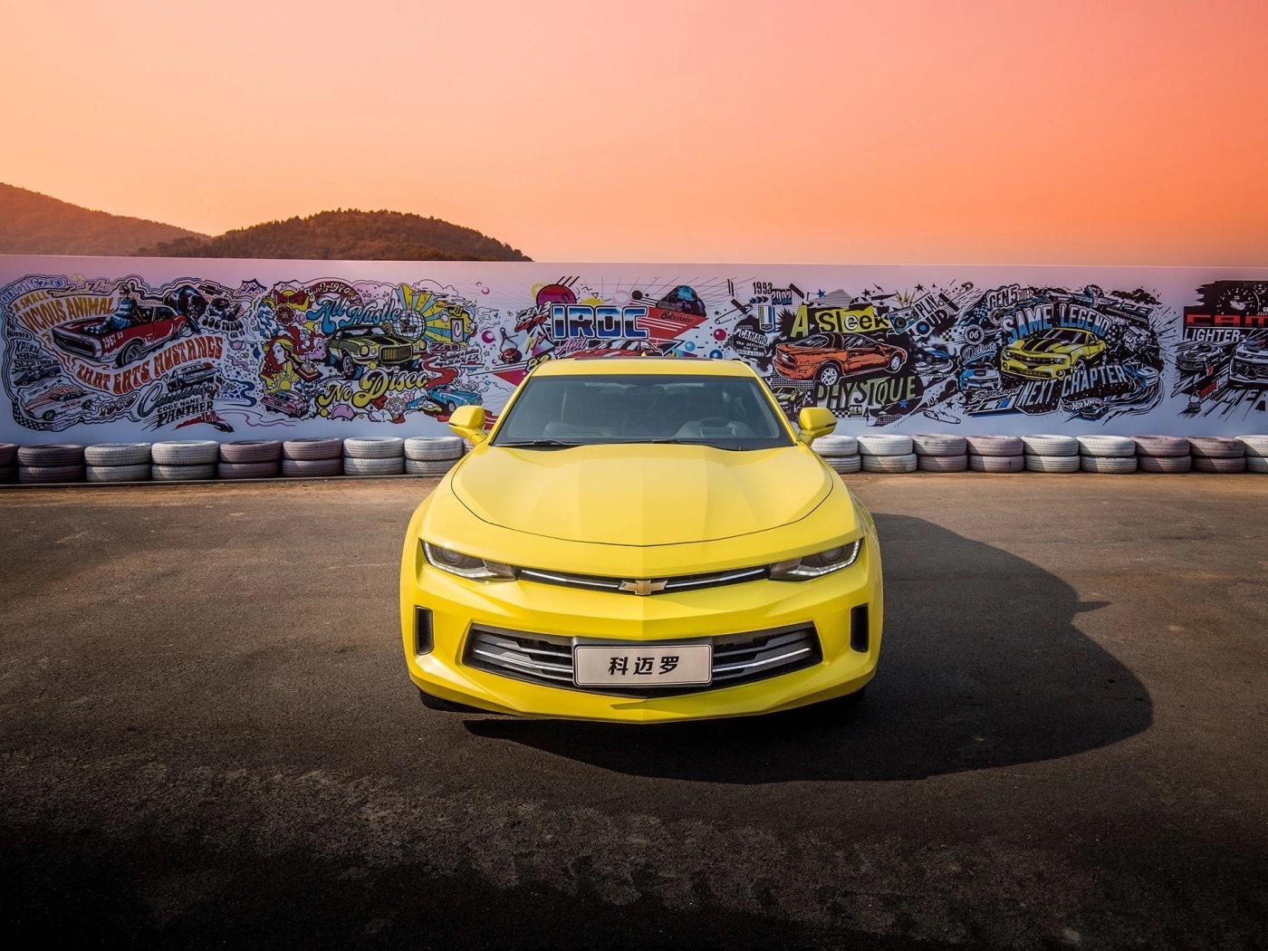 科迈罗：多彩大黄蜂