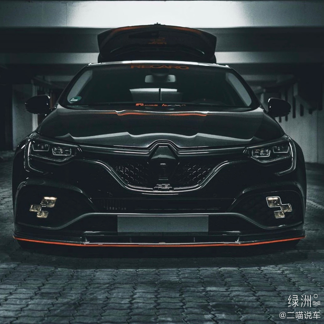 雷诺梅甘娜：感觉还是这个好看