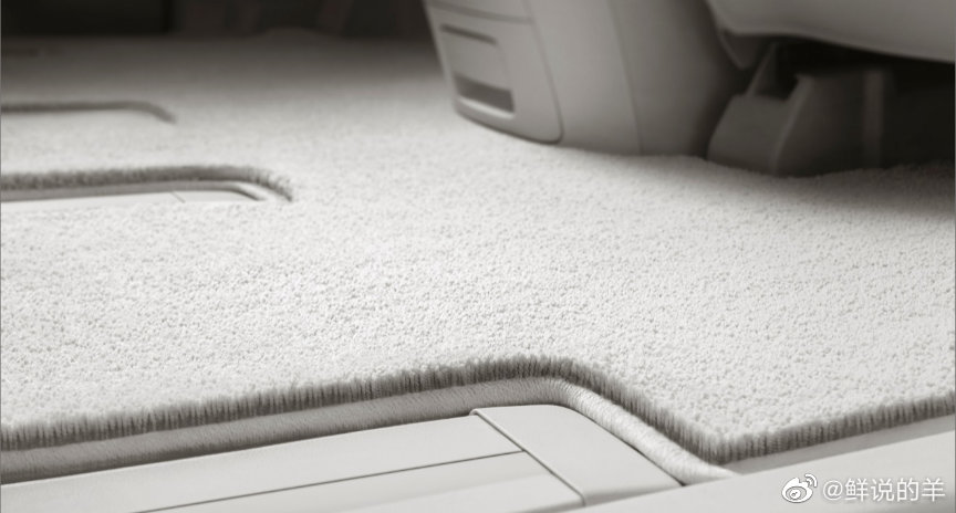 省去每年验车的烦恼，新款别克GL8 Avenir六座版官图正式发布。