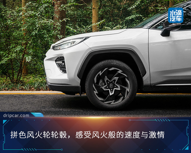 感受历史余香，与威兰达浪漫邂逅金陵古韵