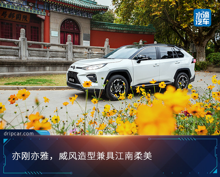 感受历史余香，与威兰达浪漫邂逅金陵古韵