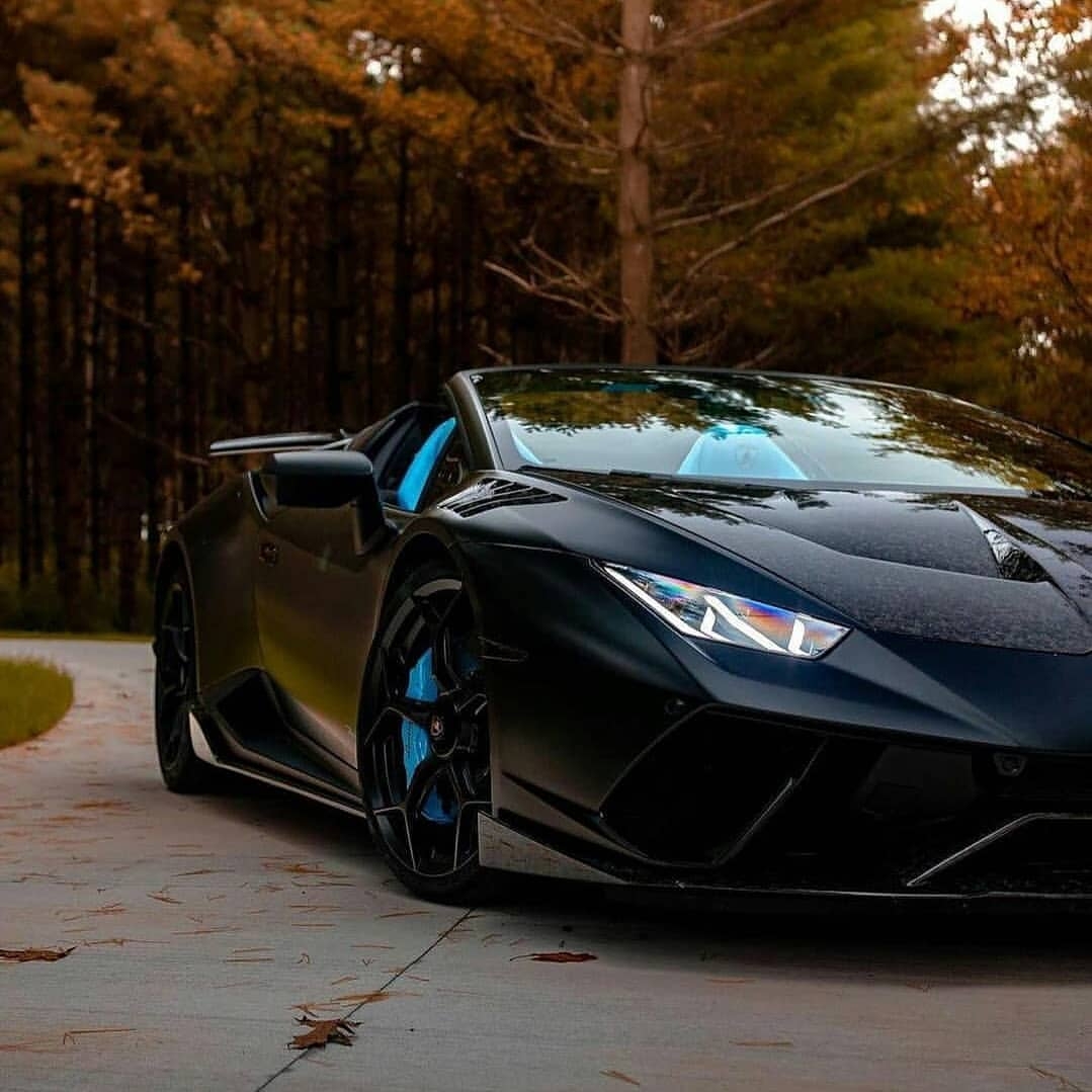 汽车美图抢先看：兰博基尼黑蓝配色小牛
