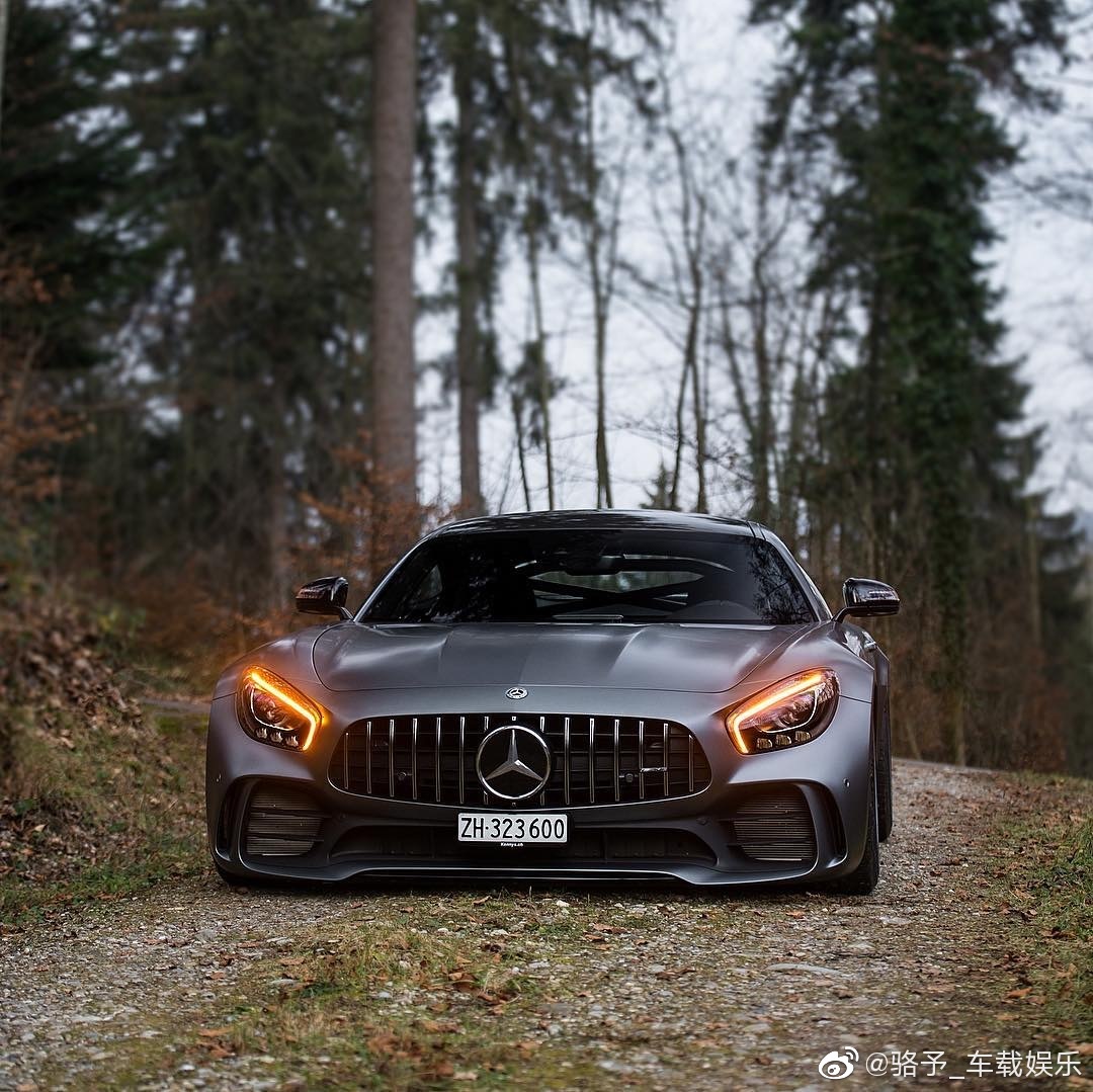 以后AMG GT就是我的奋斗目标了！