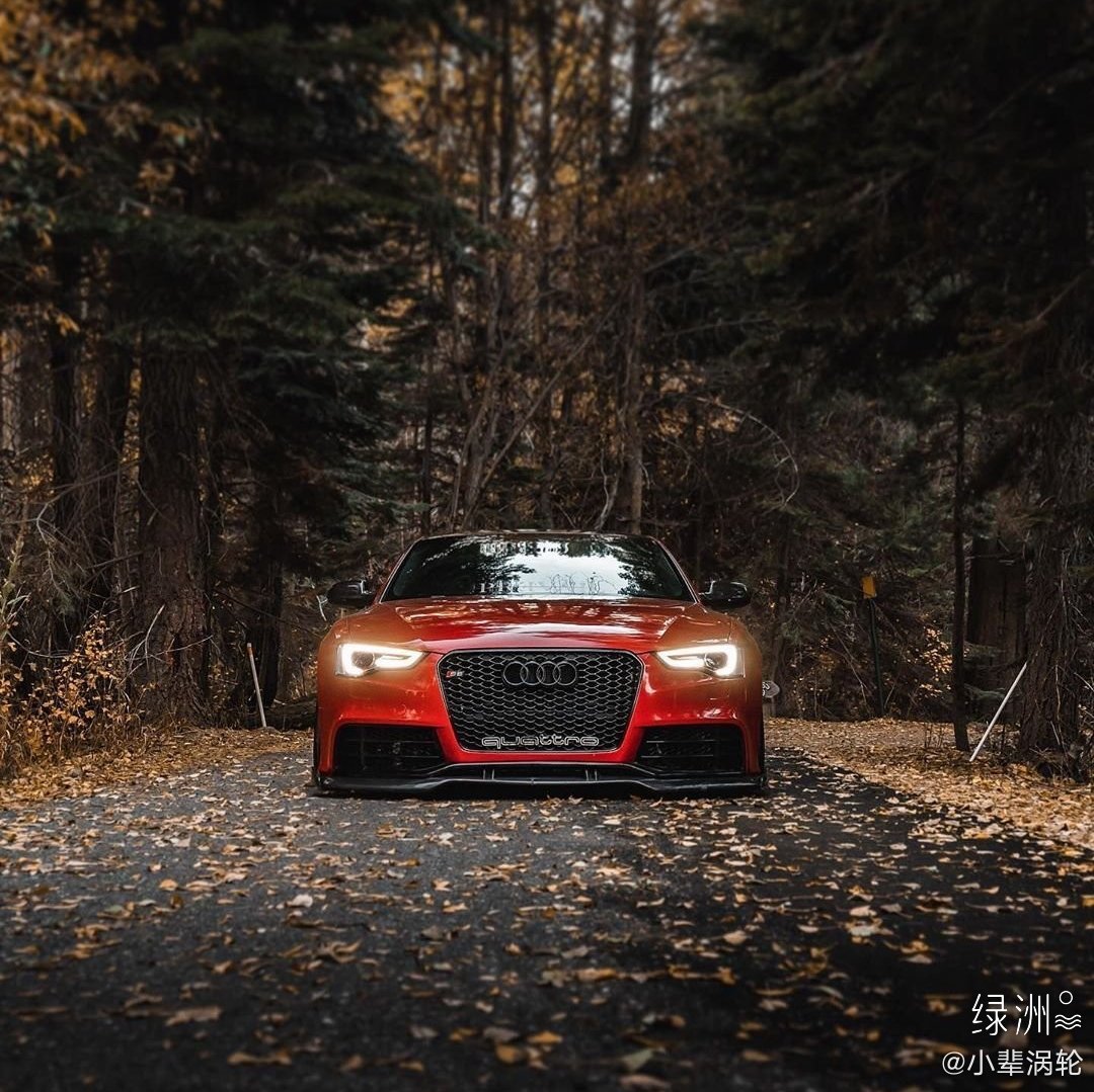 汽车美图：奥迪S5 Coupe 外观精致