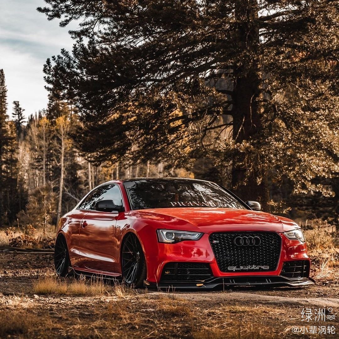 汽车美图：奥迪S5 Coupe 外观精致