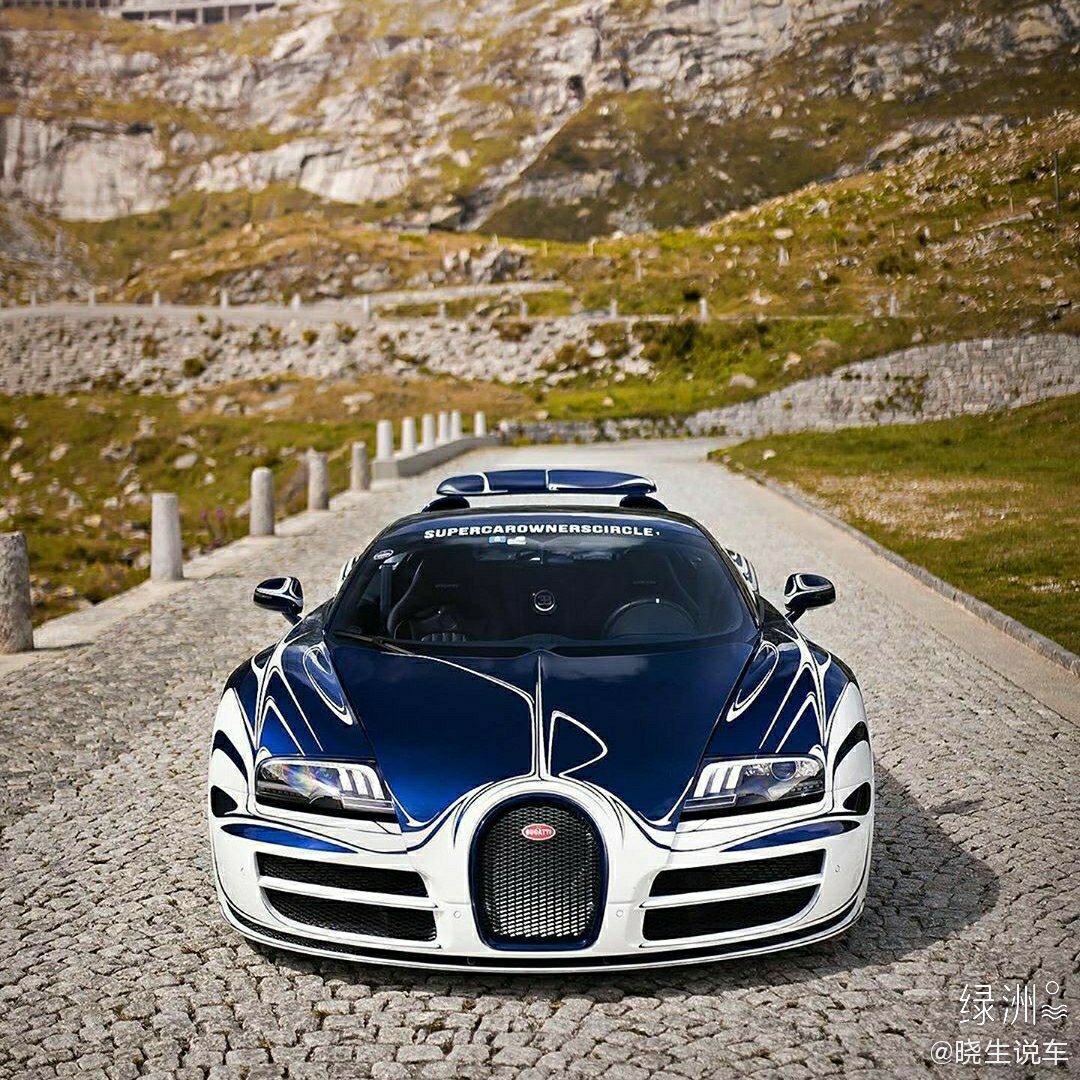 汽车美图赏析：好个性的布加迪大肥龙