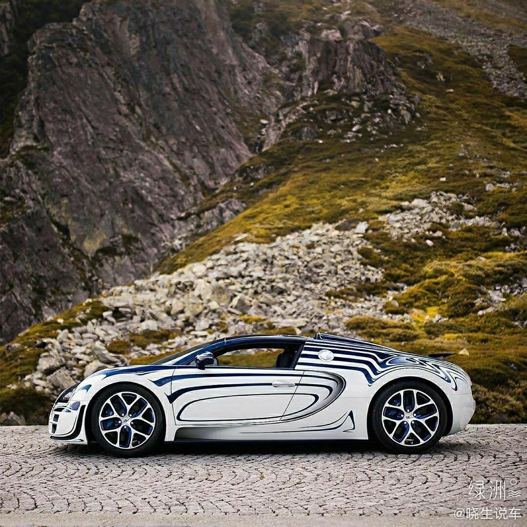 汽车美图赏析：好个性的布加迪大肥龙