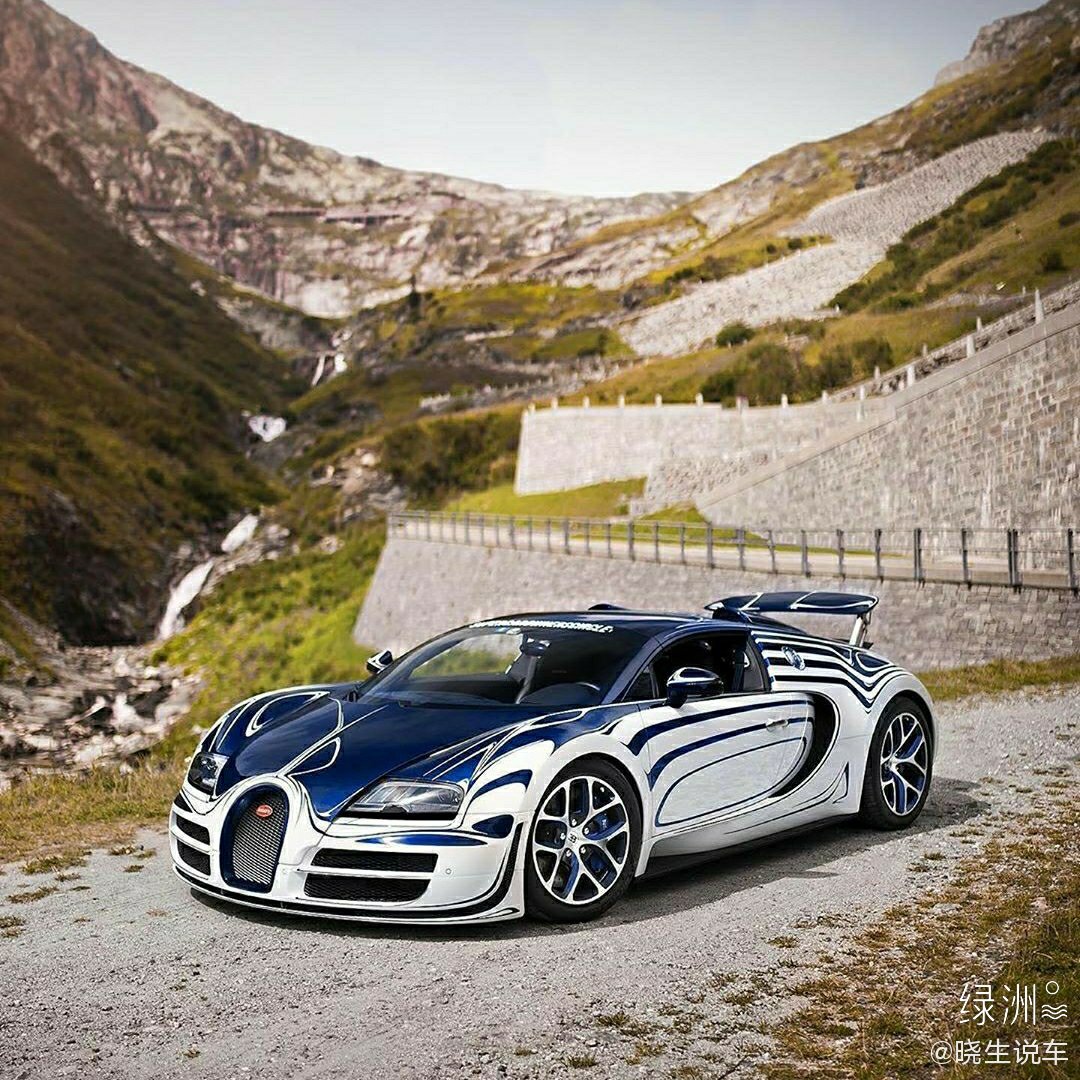 汽车美图赏析：好个性的布加迪大肥龙