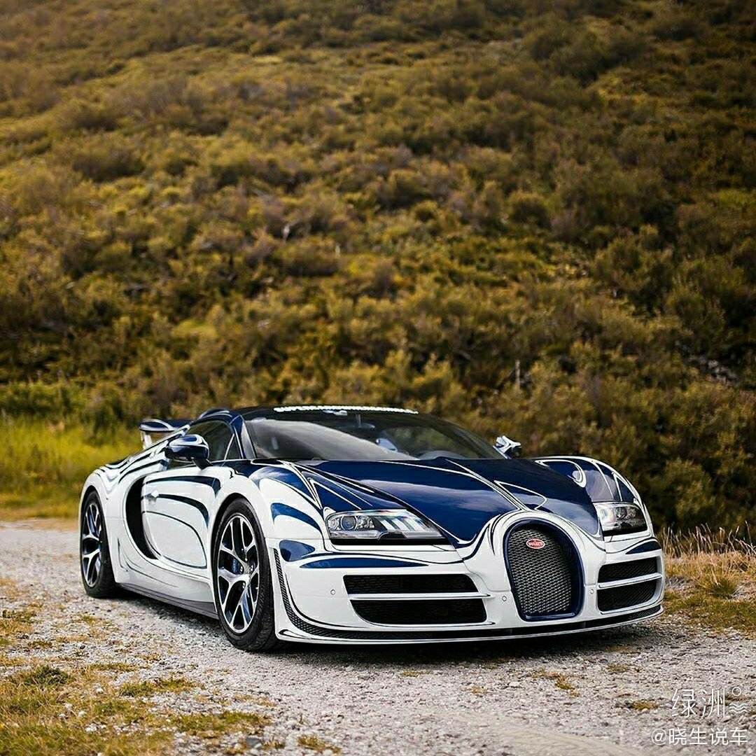 汽车美图赏析：好个性的布加迪大肥龙