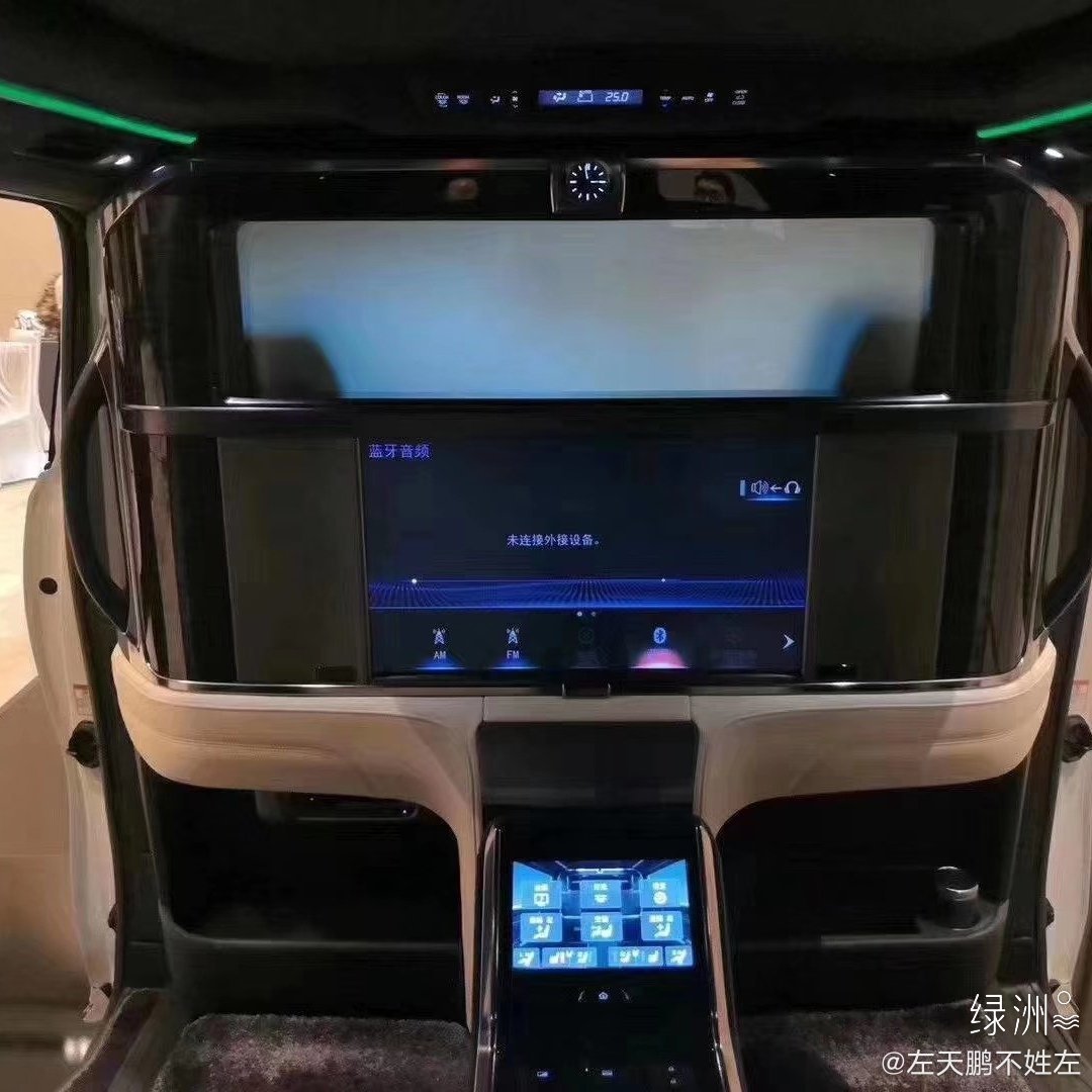 汽车美图赏析：加价几百万的雷克萨斯LM300h