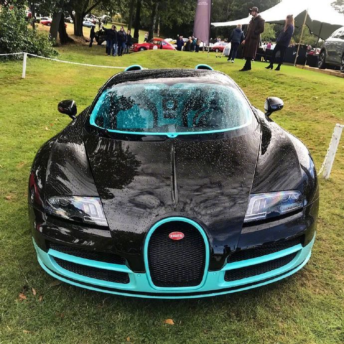 布加迪Bugatti Veyron Vitesse，这色彩太完善了！