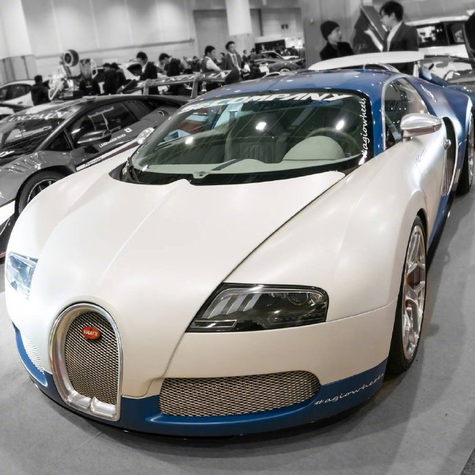 好看的汽车图片：布加迪肥龙秀，你喜欢吗