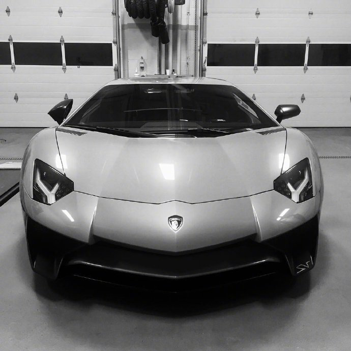 五彩缤纷兰博基尼，牛气冲天啊啊啊