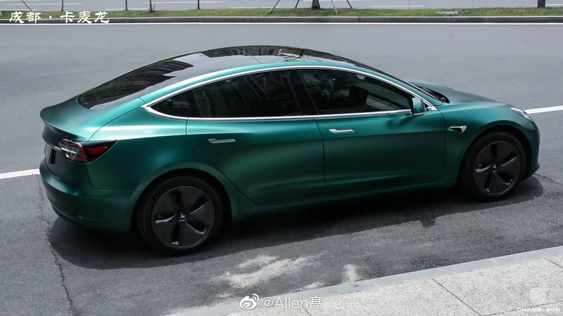 特斯拉毛豆3车身改色电光祖母绿完工