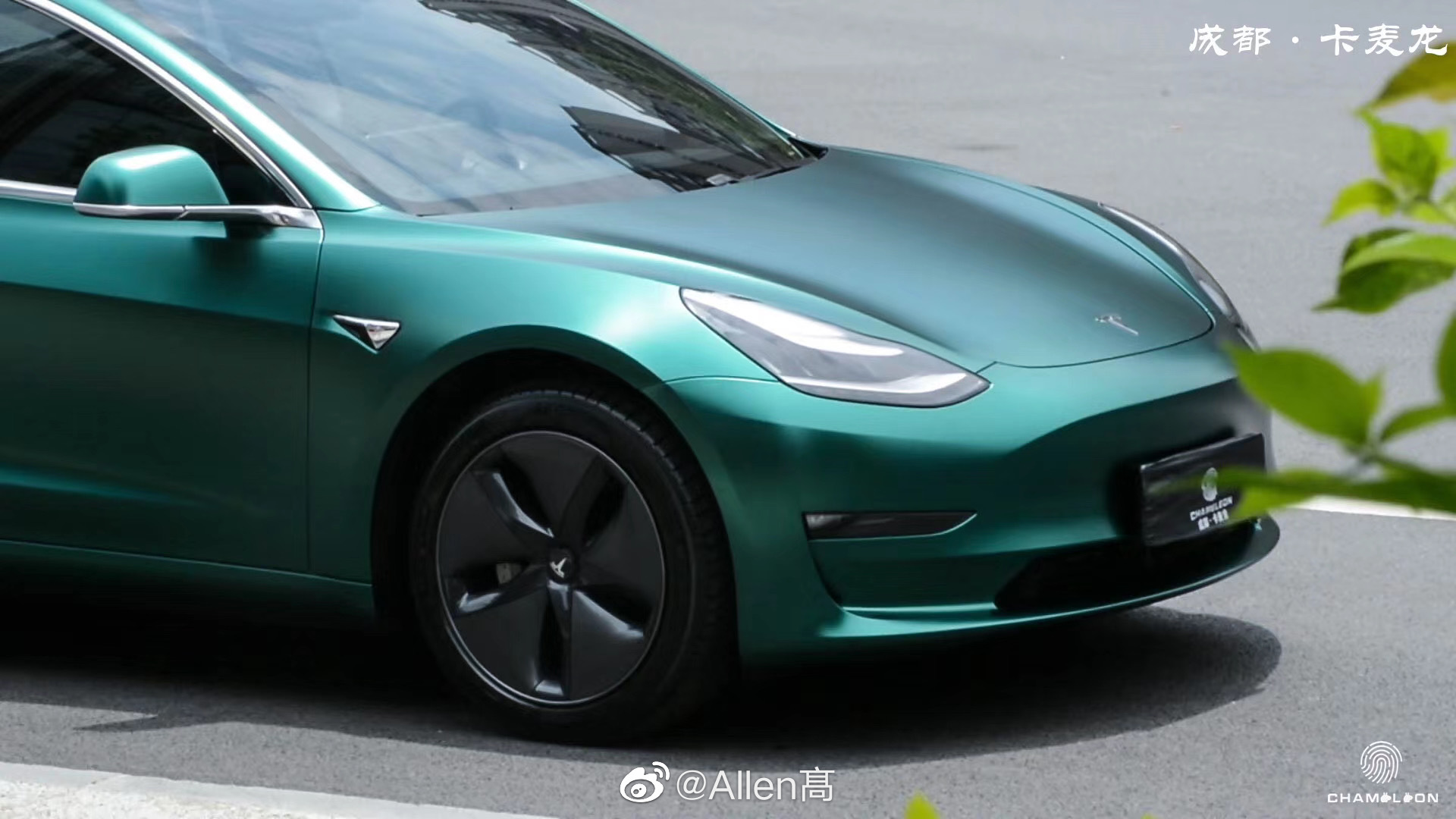 特斯拉 毛豆3 车身改色电光祖母绿完工
