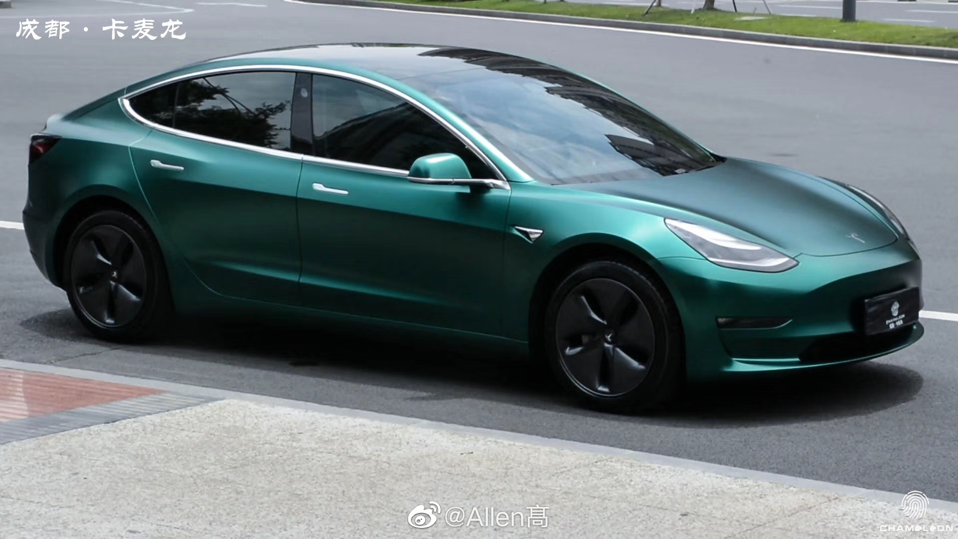 特斯拉 毛豆3 车身改色电光祖母绿完工