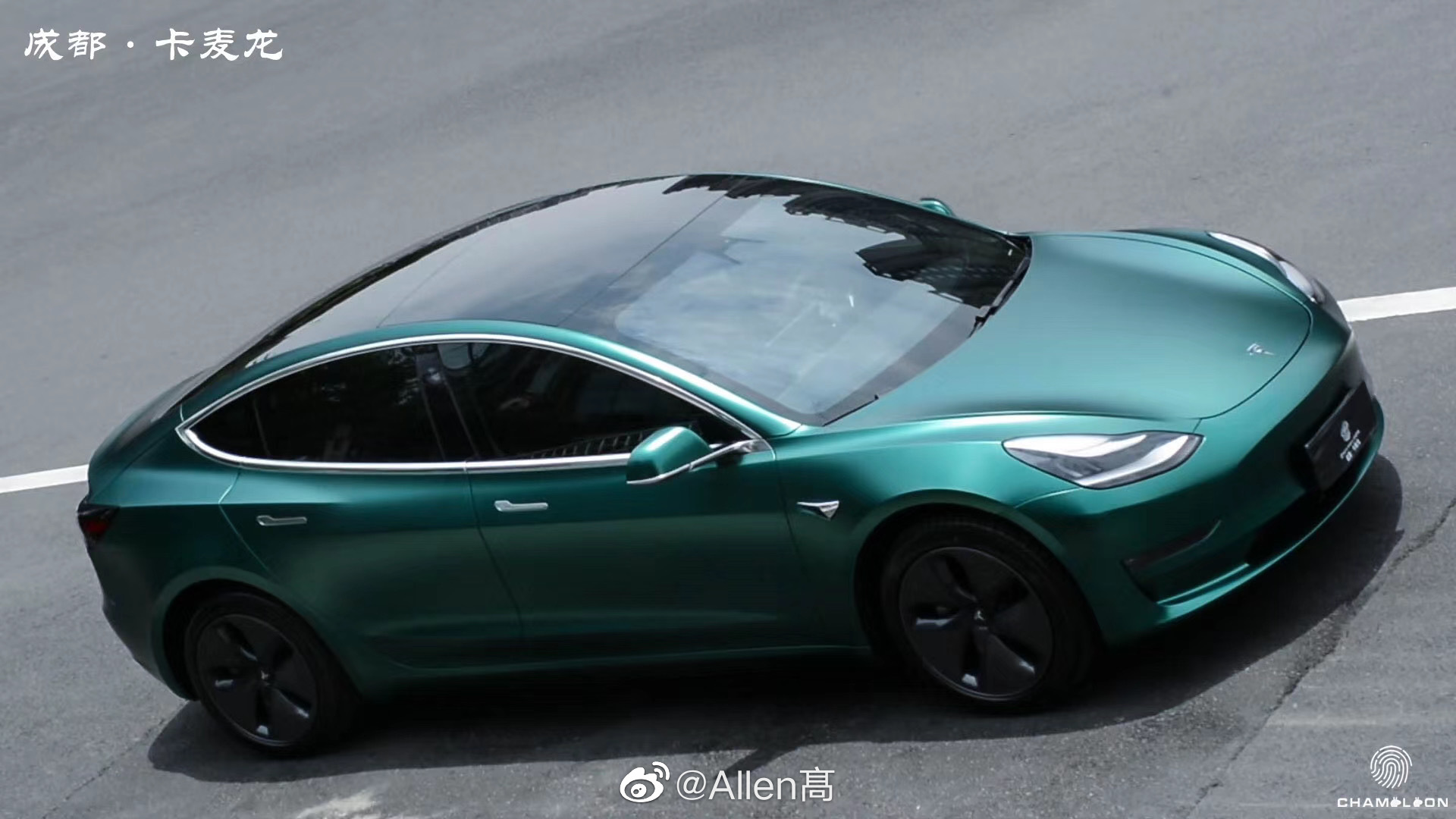 特斯拉 毛豆3 车身改色电光祖母绿完工