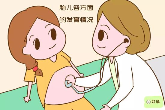 胎儿是否入盆?胎位是否正?胎儿各方面的发育情况
