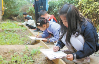 海淀区富润社区的花园已成为孩子们观察植物生长的活动场地。