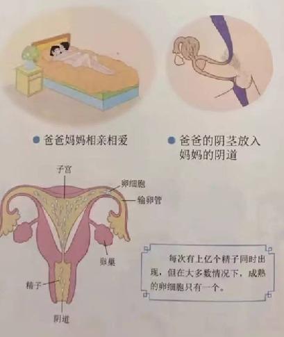 给孩子正确的性教育儿童性教育绘本书单前十推荐