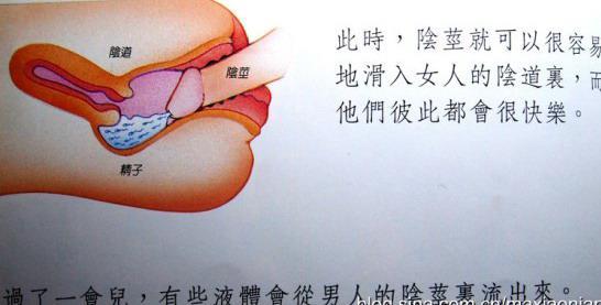 谈性教育先看看外国性教育绘本吧别脸红