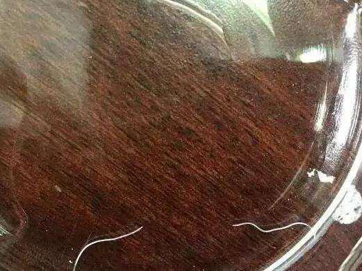 结膜吸吮线虫主要寄生在猫犬动物的结膜囊中,寄生在人类眼睛中的情况