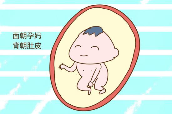为什么六个月了都不显怀