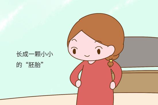 怀孕后的第一个月:胎宝宝只是一个小小的"胚胎",他们在"忙"着安家这一