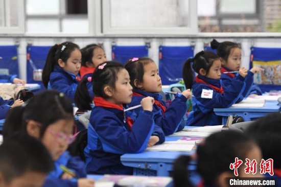 资料图：杭州一小学学生正在上课。　王刚 摄