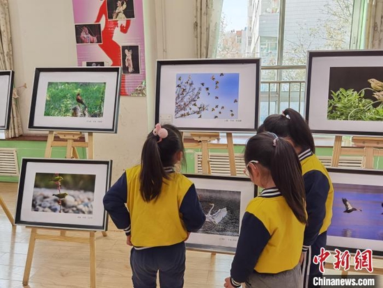 资料图：甘肃省妇联保育院的孩子们观看兰州市野生动物优秀摄影作品科普巡展。（资料图） 徐雪 摄