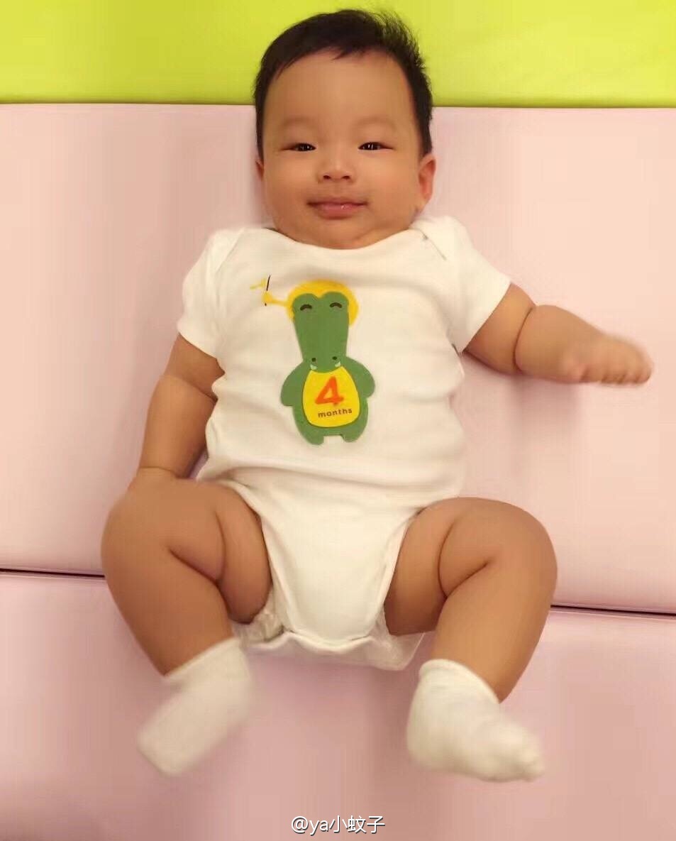 胖嘟嘟十分可爱