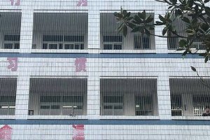 校園鐵絲網 能托住下墜的孩子嗎？