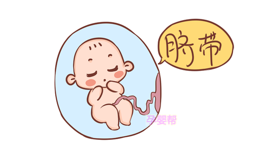 孕期b超检查遇到这2种情况孕妈很可能会翻盘