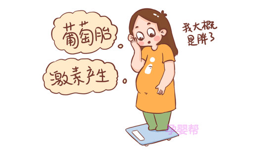 怀孕几个月显怀是正常的