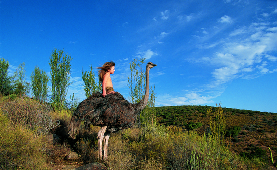 和野生动物朋友亲密相处的蒂皮