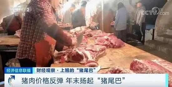 “抢肉大战”上演：一头猪利润=两瓶茅台酒 上千家房企转行养猪