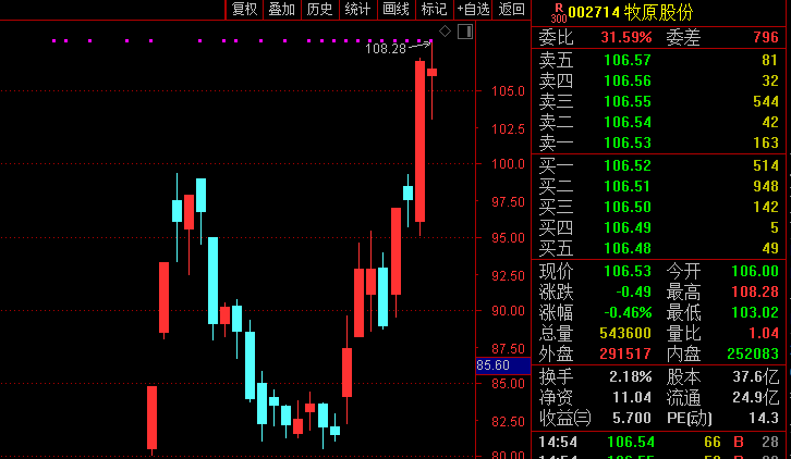 4000亿龙头牧原股份彻底火了：猪价迎来关键时间点 后市怎么走？