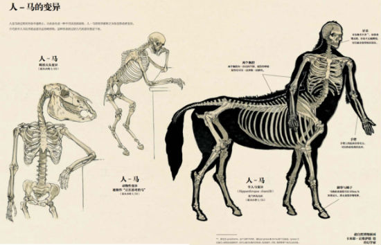 《超自然变形动物图鉴》一本正经"解剖"变形物种
