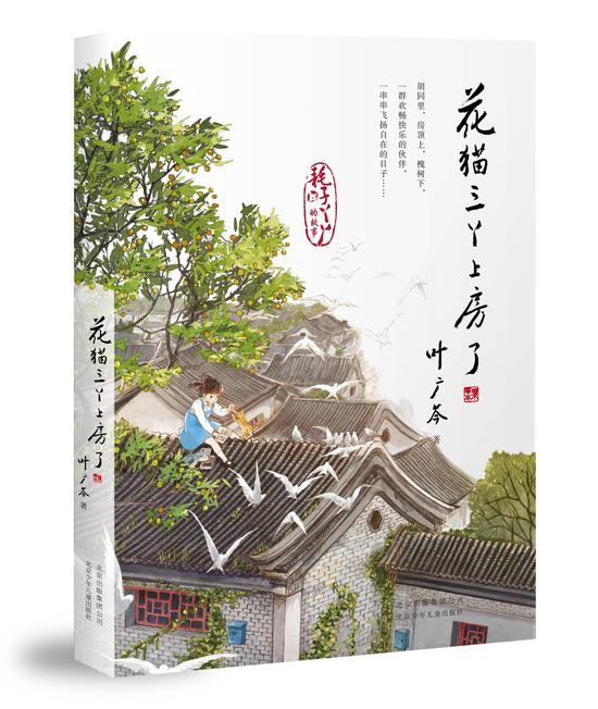 叶广芩新作花猫三丫上房了追忆胡同里的自在童年